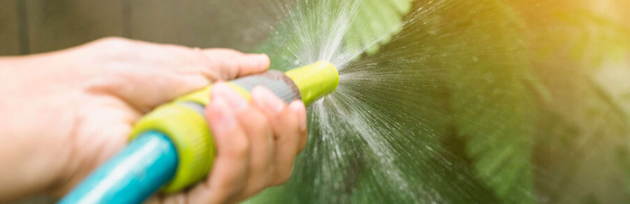 water hose watering plants